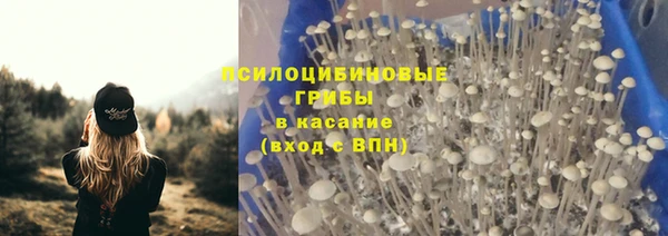 синтетический гашиш Алексеевка