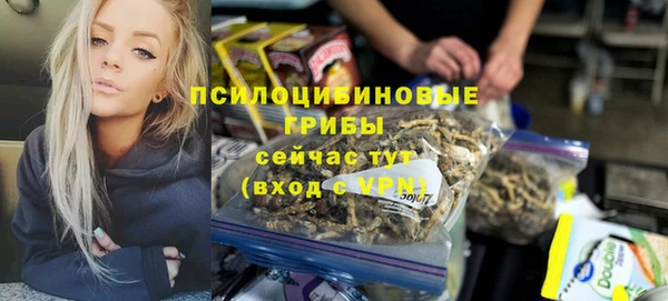 эйфоретик Алзамай