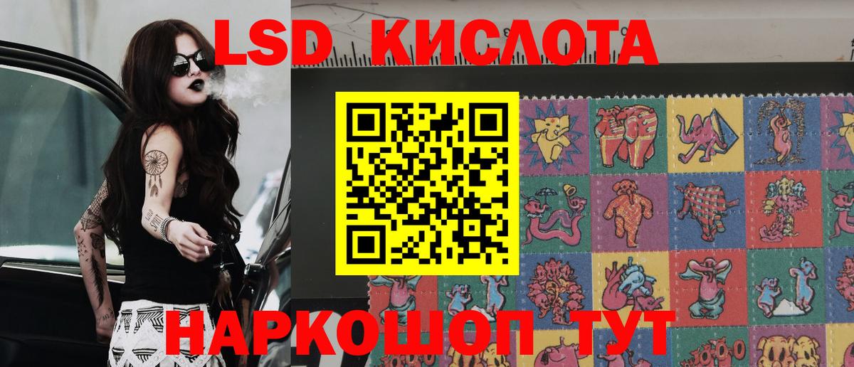 Губкин  Марки N-bome 1,5мг  Марки N-bome 1,5мг  Вход с VPN 