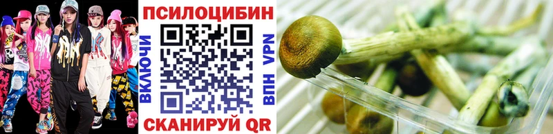 Псилоцибиновые грибы мухоморы  OMG   Губкин 