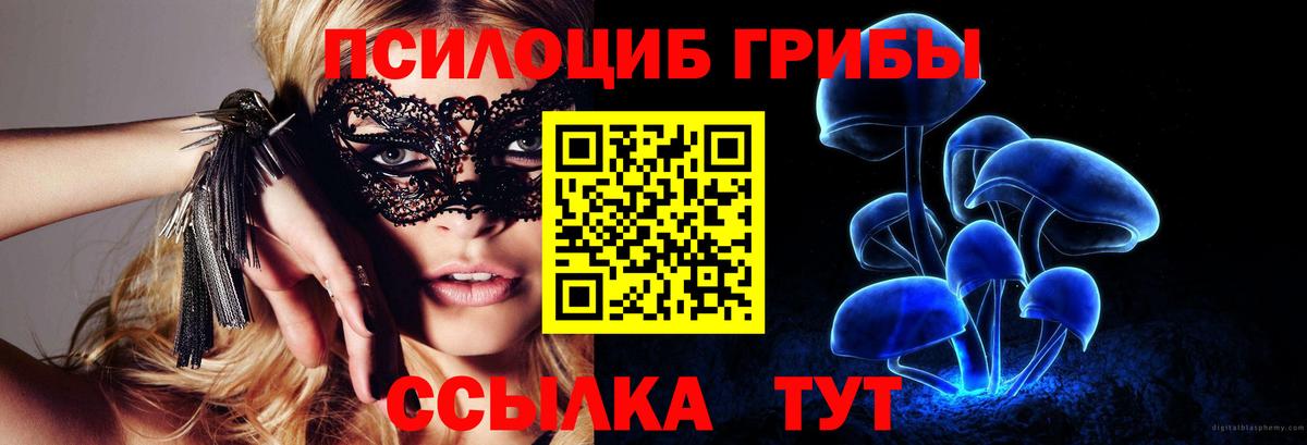 Псилоцибиновые грибы Psilocybe Губкин
