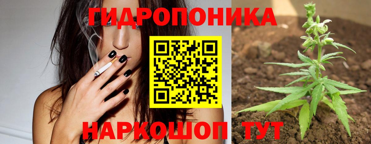 Бошки Шишки OG Kush Губкин